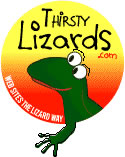 Thirsty Lizards